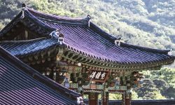 절에 불나는 꿈