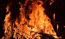 집이 불타는 꿈