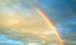 무지개 보는 꿈