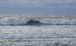 밀물이 들어오는 꿈