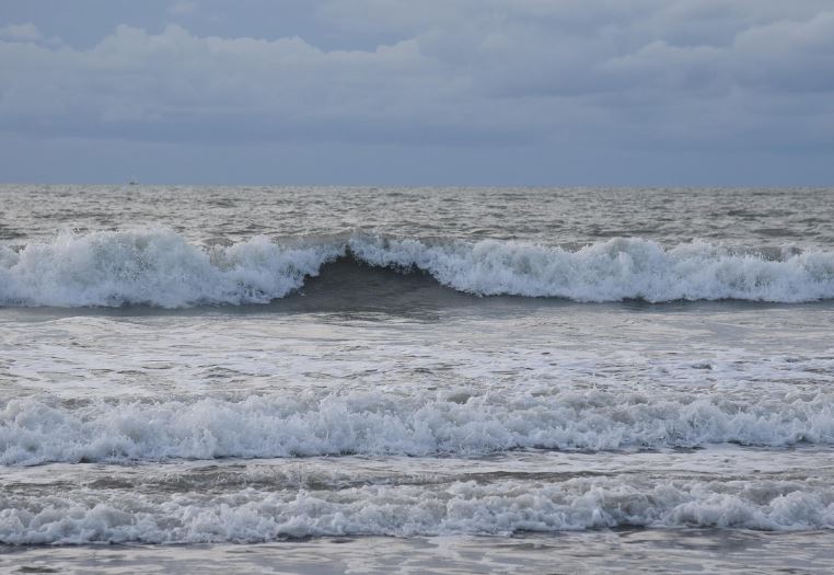 밀물이 들어오는 꿈