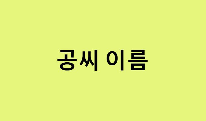 공씨 이름
