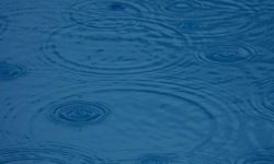 집에 빗물이 들어오는 꿈