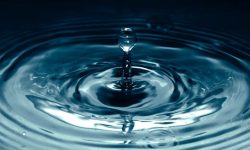 천장에서 물이 떨어지는 꿈