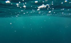 집에 물이 쏟아지는 꿈