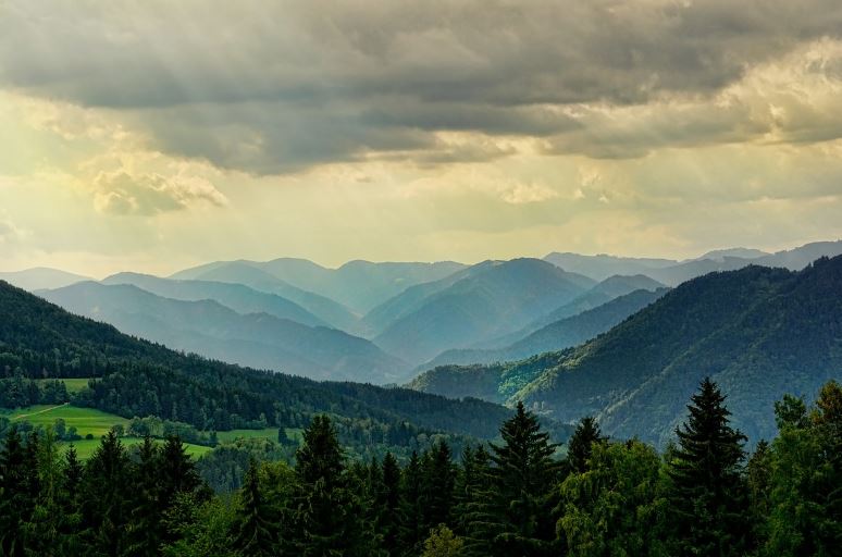 산에서 물이 쏟아지는 꿈