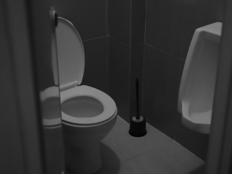 변기에 앉아있는 꿈