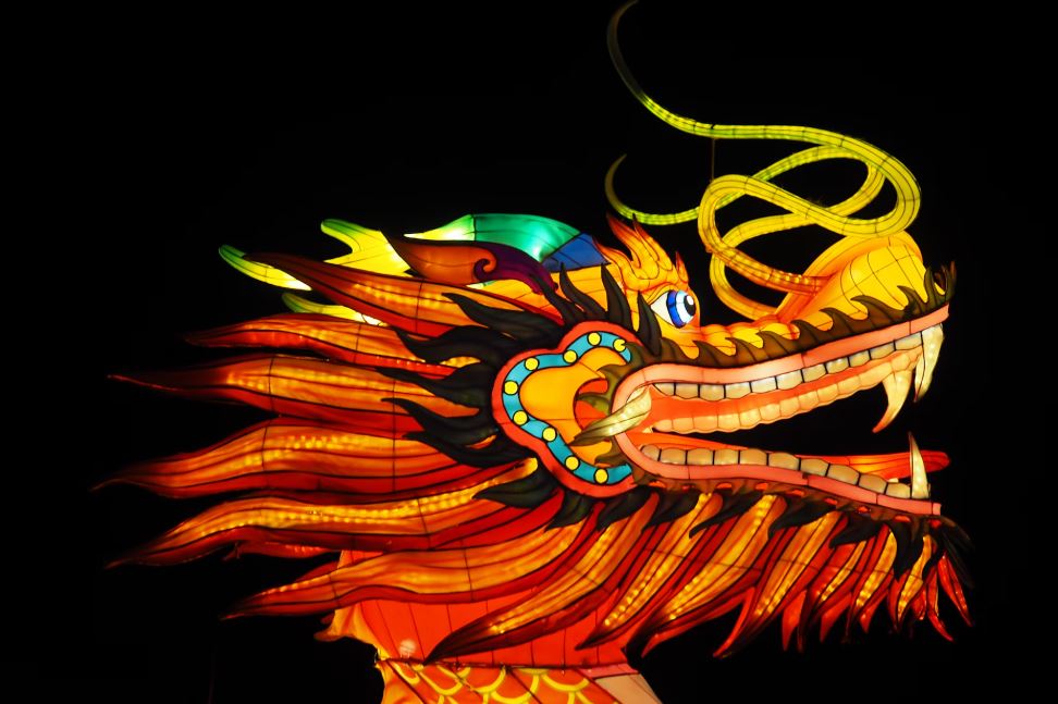 용에게 물리는 꿈