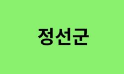 정선군 진달래 명소, 유명한 장소 총정리 정선군 진달래 명소, 유명한 장소