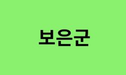 보은군 진달래 명소, 유명한 장소 총정리 보은군 진달래 명소, 유명한 장소