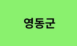 영동군 진달래 명소, 유명한 장소