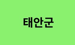 태안군 진달래 명소, 유명한 장소 총정리 태안군 진달래 명소, 유명한 장소