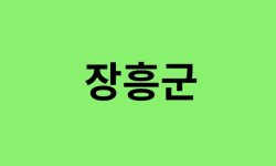 장흥군 진달래 명소
