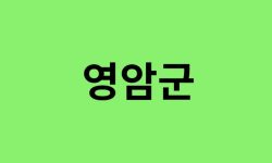 영암군 진달래 명소