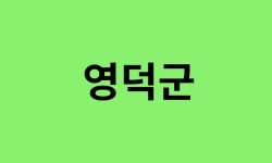영덕군 진달래 명소
