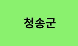 청송군 진달래 명소
