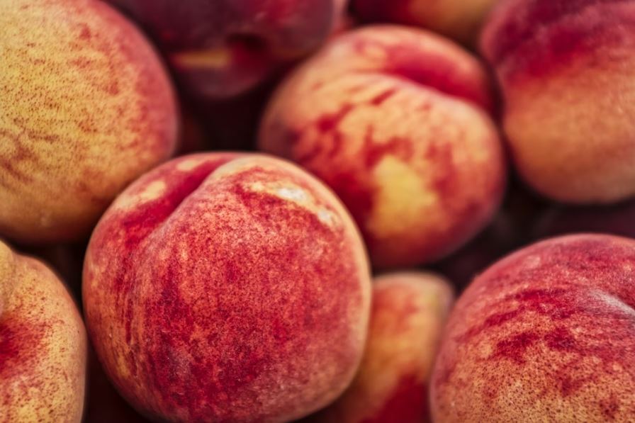 큰 복숭아 따는 꿈