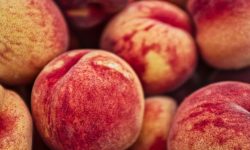 큰 복숭아 먹는 꿈