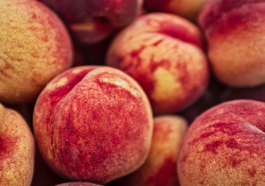 큰 복숭아 먹는 꿈