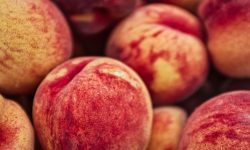 큰 복숭아 태몽을 자세히 알아봅시다! 큰 복숭아 태몽