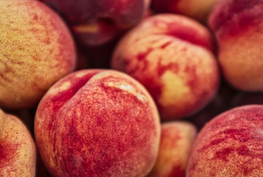 큰 복숭아 태몽