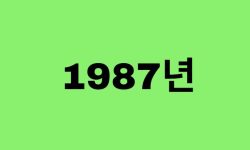 87년생, 1987년에 태어난 연예인