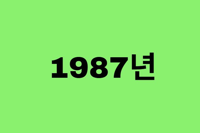 87년생, 1987년에 태어난 연예인