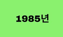 85년생, 1985년에 태어난 연예인