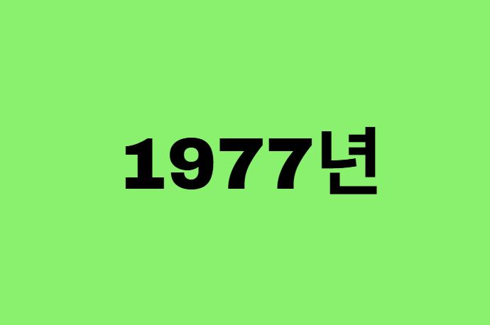 77년생, 1977년에 태어난 연예인