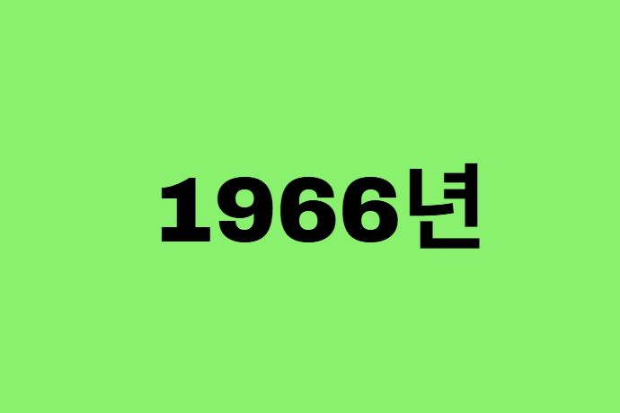 66년생, 1966년에 태어난 연예인