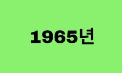 65년생, 1965년에 태어난 연예인