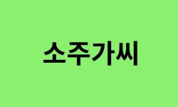 소주가씨 출신 연예인, 유명인 리스트 소주가씨