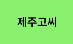 제주고씨 출신 연예인, 유명인 리스트 제주고씨 출신 연예인