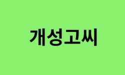 개성고씨 출신 연예인