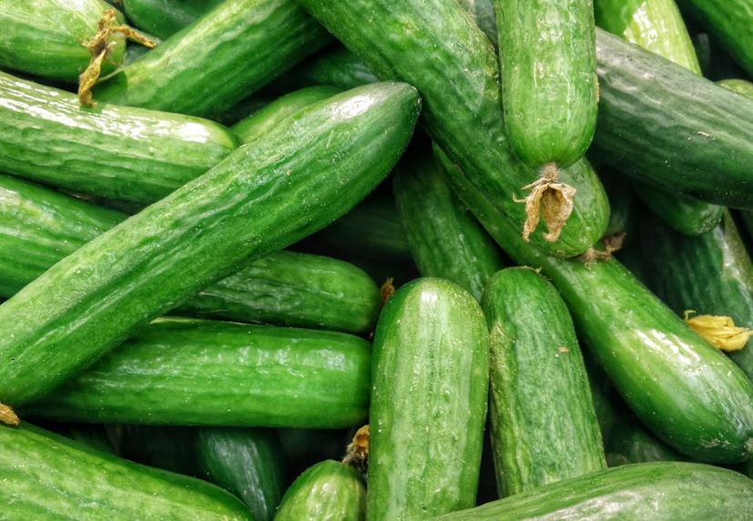 오이를 받는 꿈