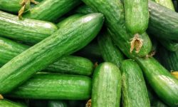 오이를 보는 꿈