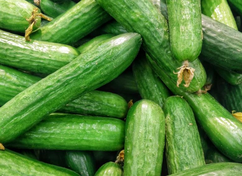 오이를 보는 꿈