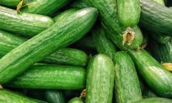 오이를 사는 꿈