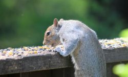 턱걸이 꿈 해몽을 자세히 알아봅시다! 턱걸이 꿈